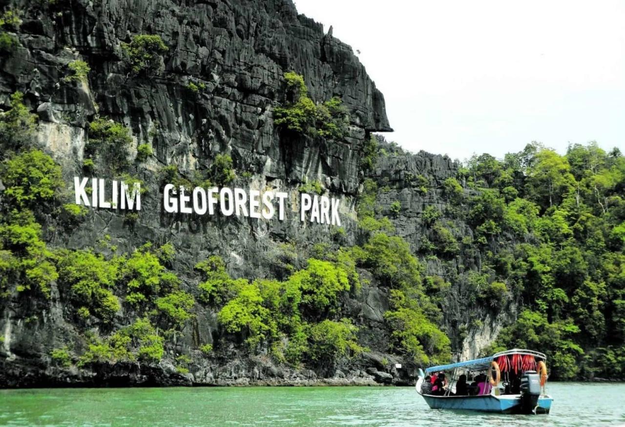 Jelajahi Ekosistem Pesisir Langkawi dengan Mangrove Tour